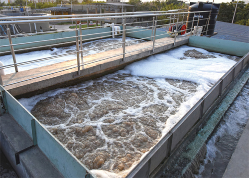 Sewage Treatment Plant (STP)